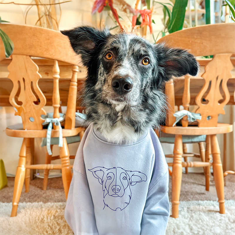 Sweater Dog Personalized Custom Embroidered Pet Sweatshirts with Pet's Photo and Name