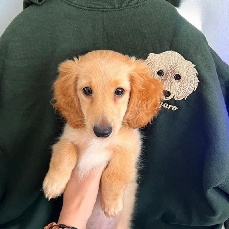 Personalized Sweatshirt with Pet Face and Pet Name Custom Embroidered